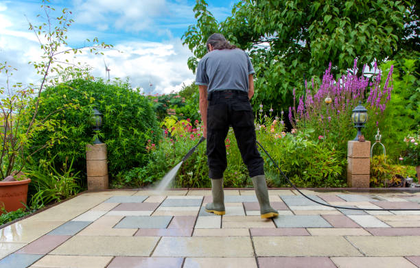 Best Animal Enclosure Cleaning  in North Shore, VA